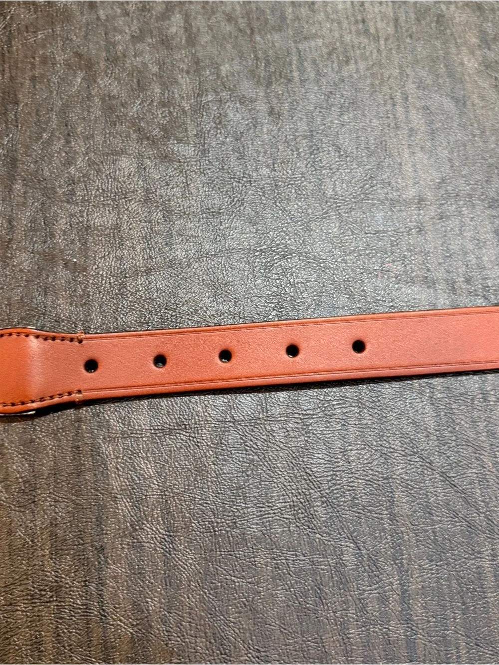Crewcuts Shark Pattern Canvas Belt in Navy and Light Blue Kids Sz M (26) NWT